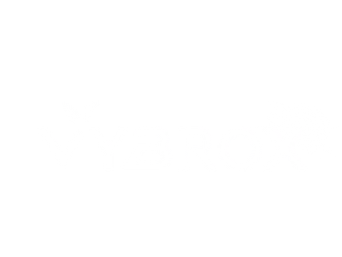 VYBROX